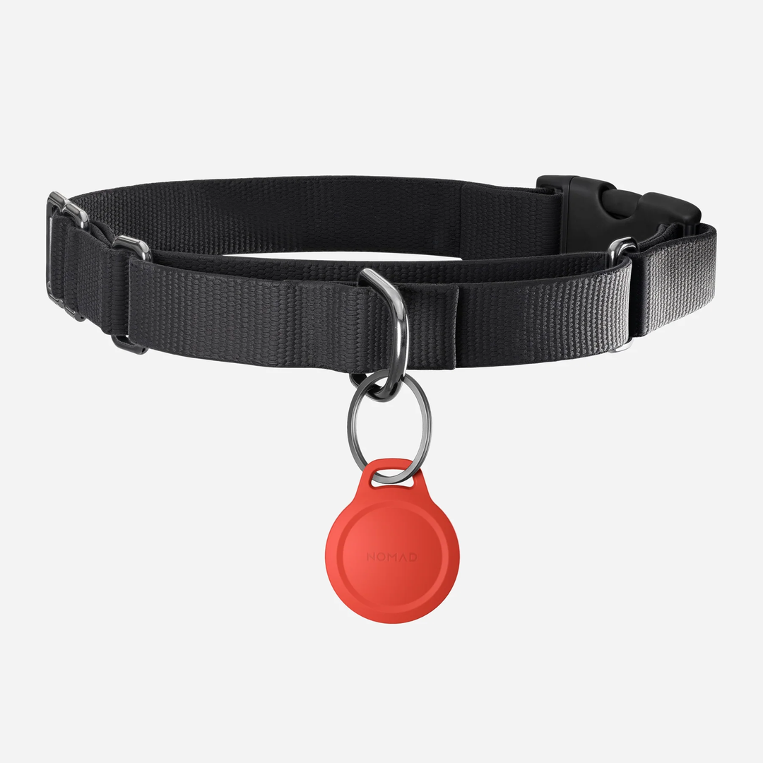 Rugged Keychain V2 - AirTag Nomad