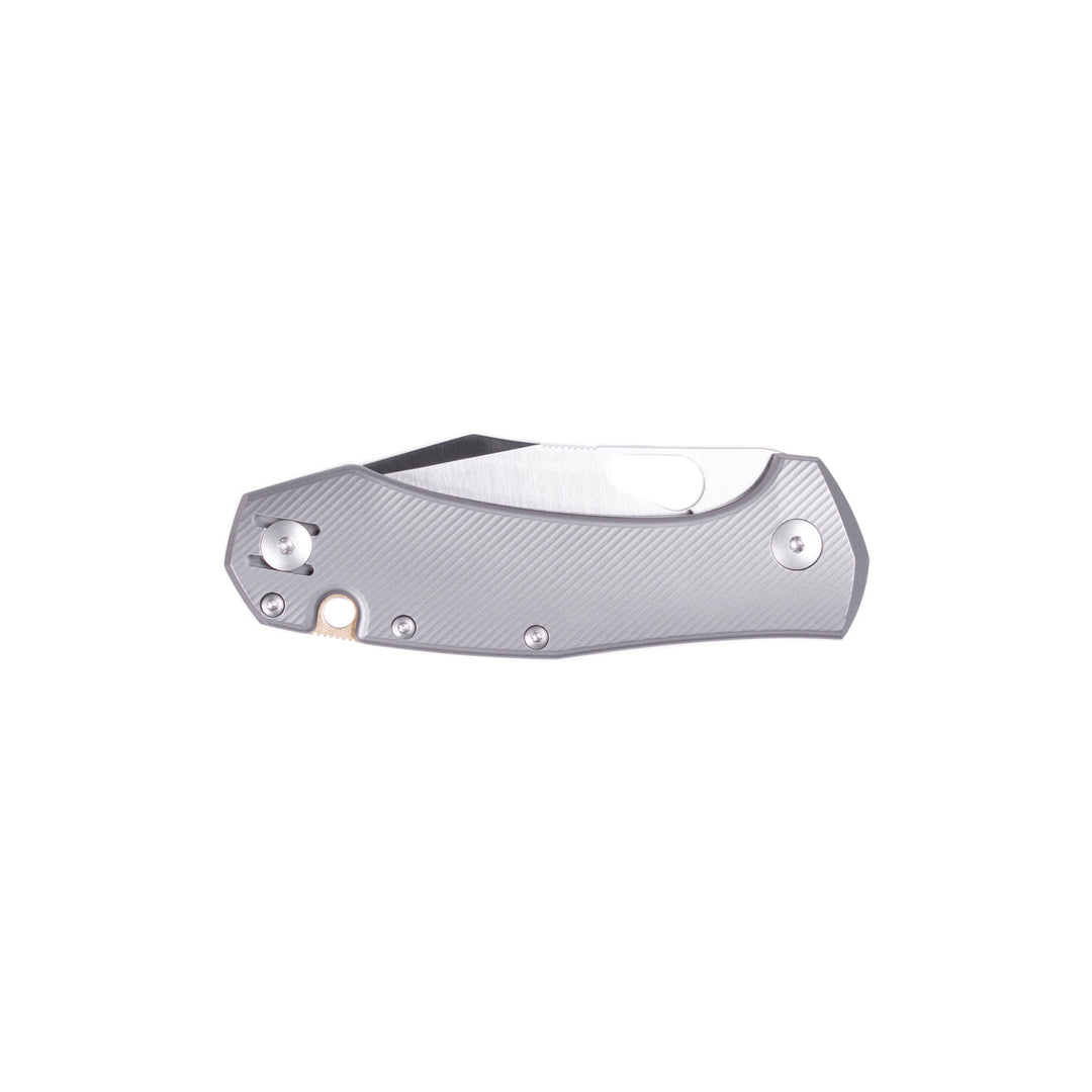 ACE Atelier - Titanium GiantMouse