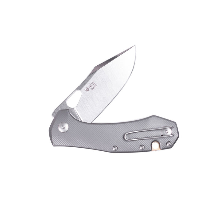 ACE Atelier - Titanium GiantMouse