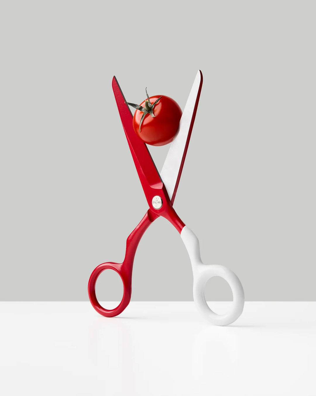 Spectra Scissors Craighill