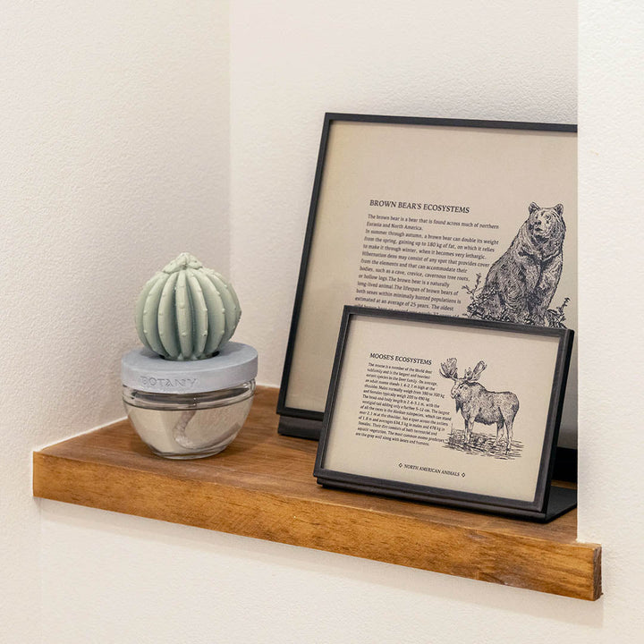 Metal Frame DULTON