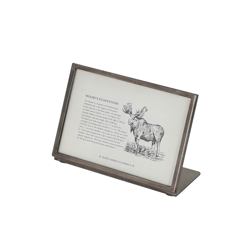 Metal Frame DULTON