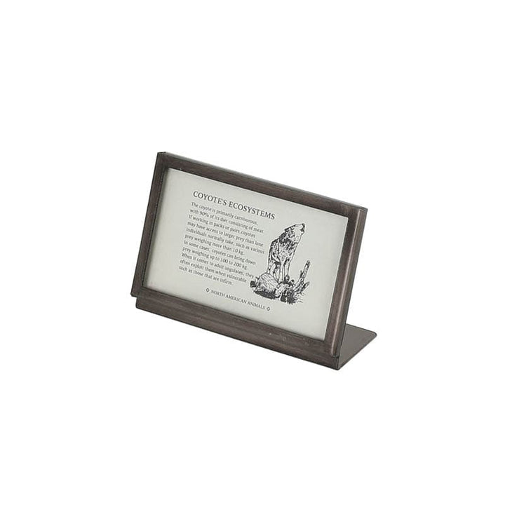 Metal Frame DULTON