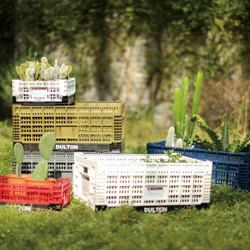 FOLDING MESH STORAGE / SHOPPING BASKET DULTON